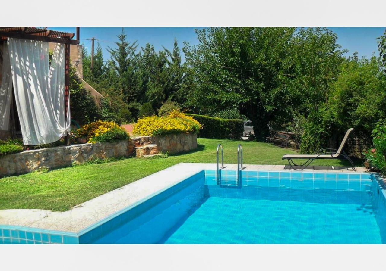 Villa Skine With Private Pool And Garden Chania  Buitenkant foto